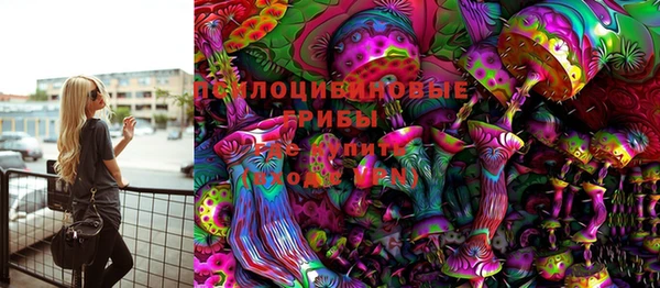 2c-b Белокуриха