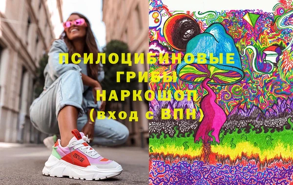 СК Ступино