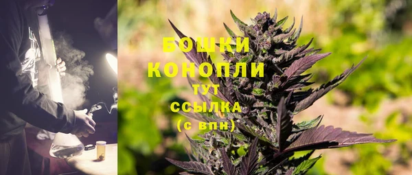 крисы Беломорск
